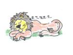 sleeping_lion